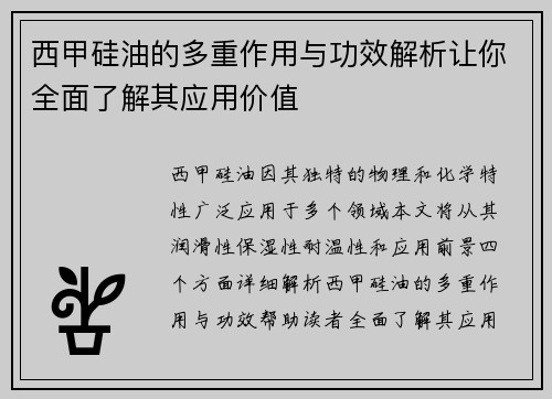 西甲硅油的多重作用与功效解析让你全面了解其应用价值