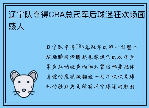 辽宁队夺得CBA总冠军后球迷狂欢场面感人