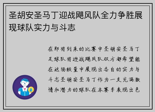 圣胡安圣马丁迎战飓风队全力争胜展现球队实力与斗志